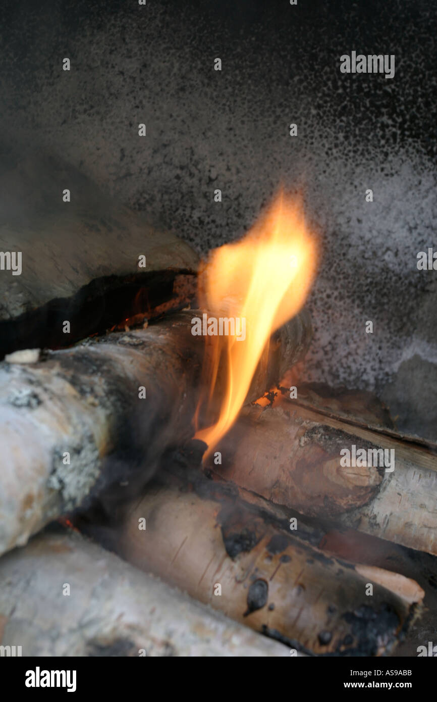 birch logs in fire Stock Photo Alamy