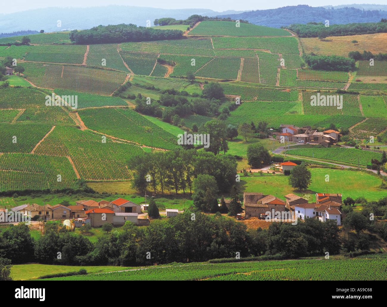 Beaujeu rhone hires stock photography and images Alamy