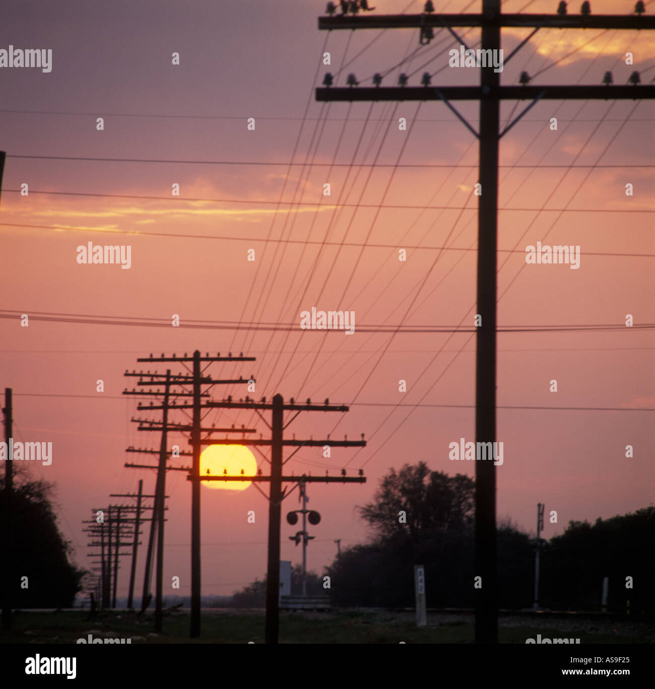 telephone poles railroad signals sunset Stock Photo