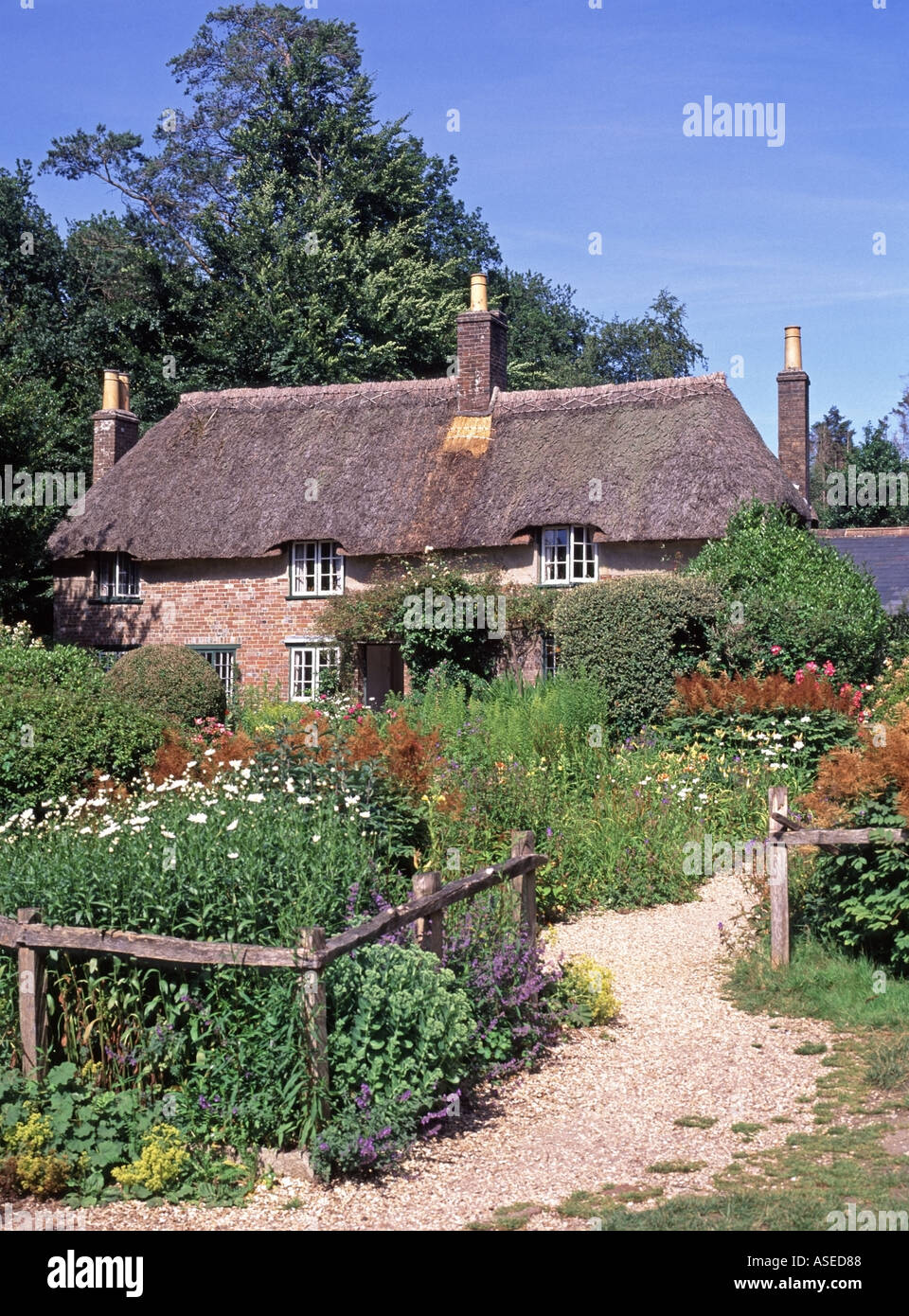 Summer view of historical thatched roof cottage home and garden at Thomas Hardy birthplace of famous English author in Bockhampton Dorset England UK Stock Photo