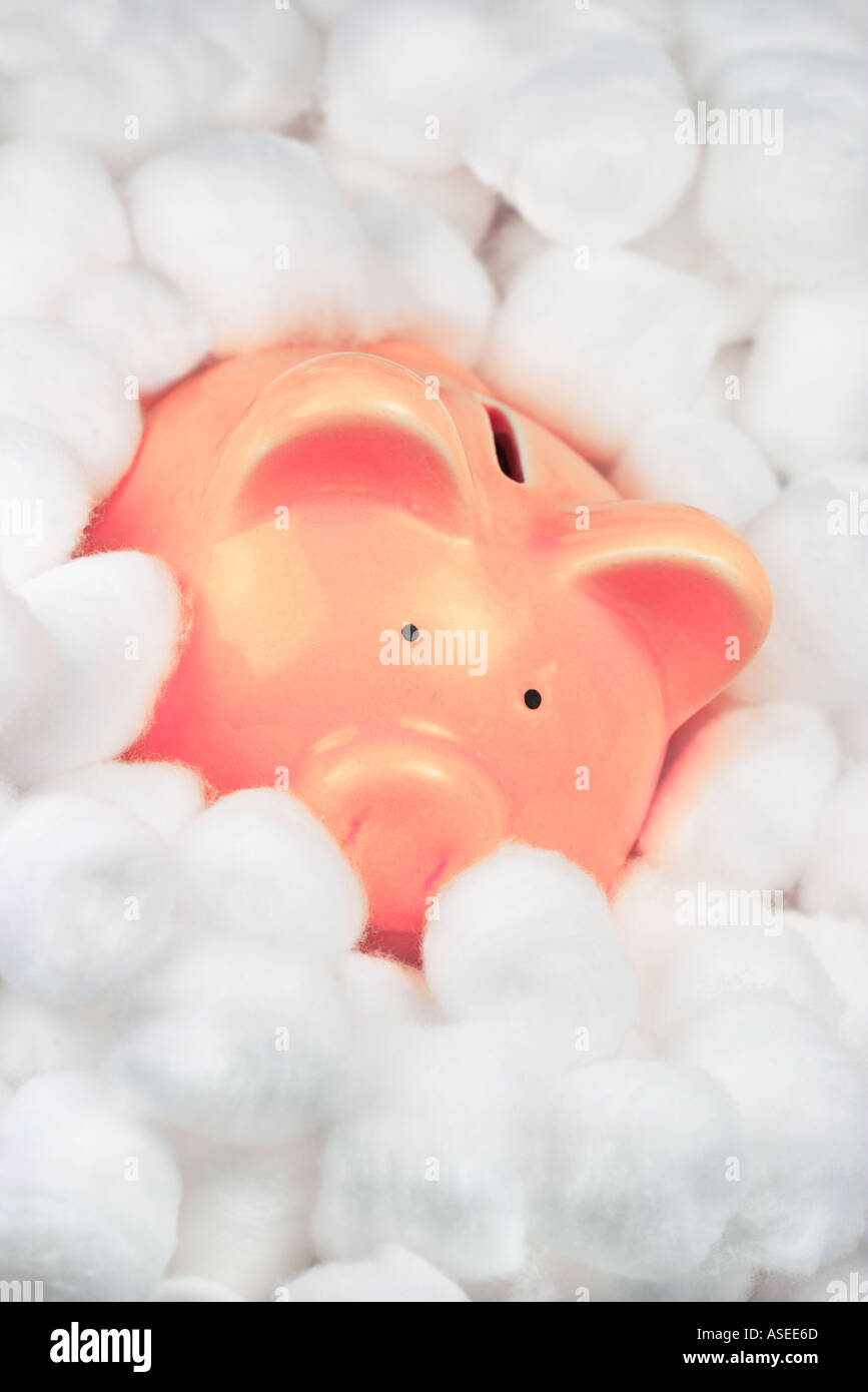 Piggy bank in cotton wool safe investment concept Stock Photo Alamy
