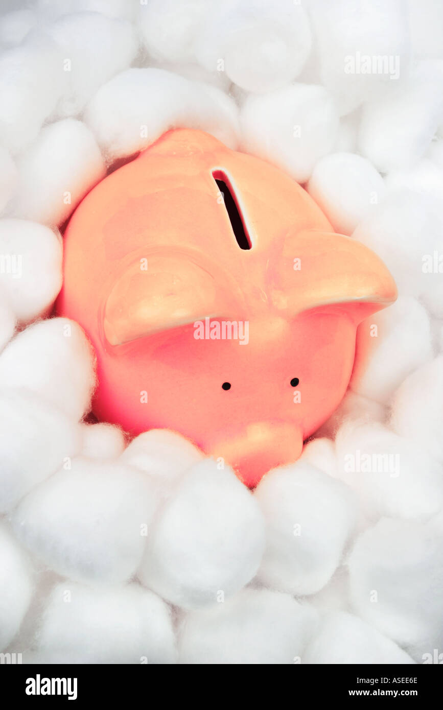 Piggy bank in cotton wool safe investment concept Stock Photo Alamy