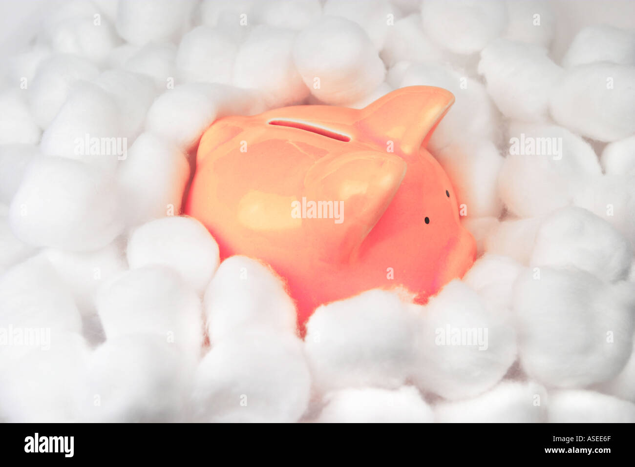 Piggy bank in cotton wool safe investment concept Stock Photo Alamy