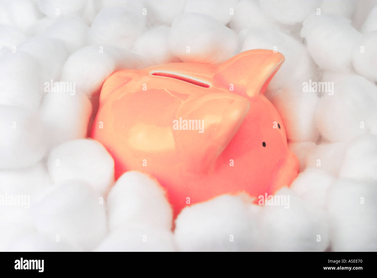 Piggy bank in cotton wool safe investment concept Stock Photo Alamy