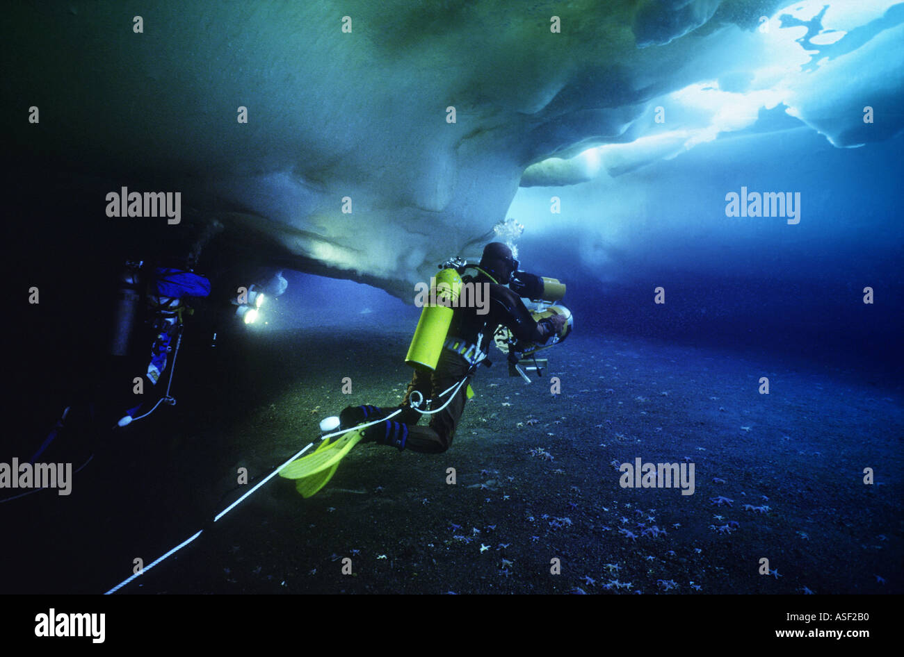 Underwater film crew camera lights diving under sea ice in shallows along shoreline Erebus Bay