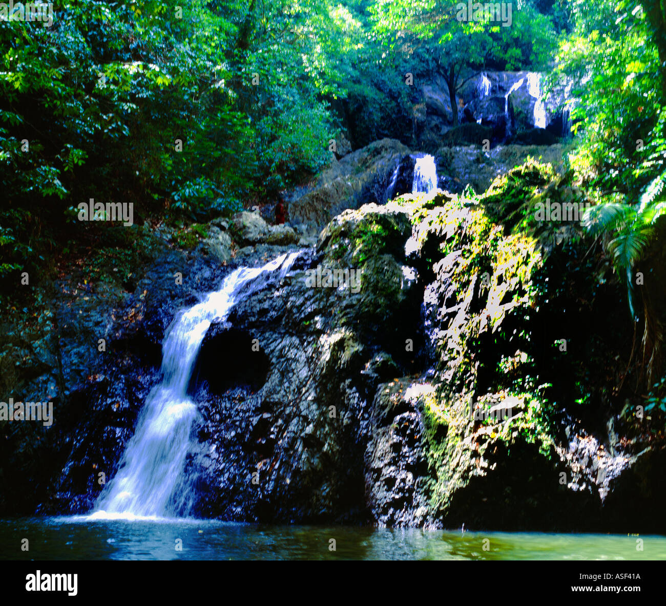 Tobago Rainforest Waterfall Hi res Stock Photography And Images Alamy