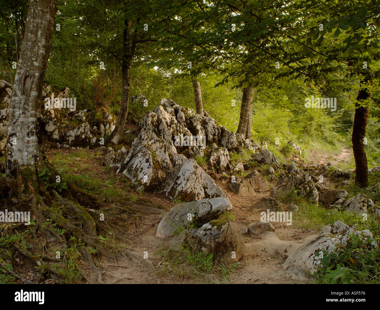 Rocky path hi-res stock photography and images - Alamy