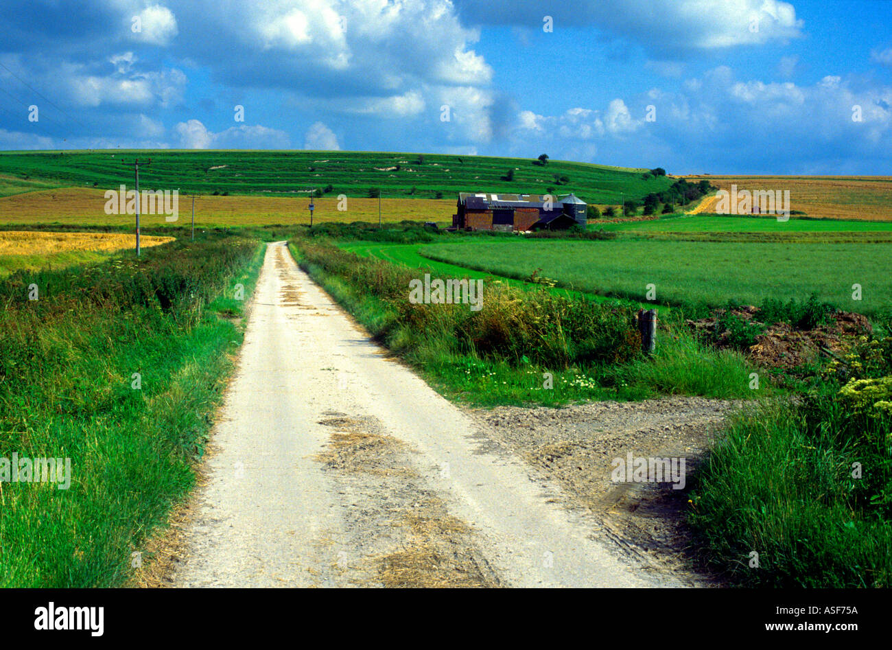 Track on chalk downs near Bishops Cannings Wiltshire England with strip lynchets Stock Photo