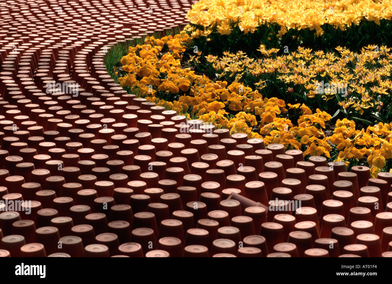 Ornamental rows of flower pots at Keukenhof Spring Gardens South
