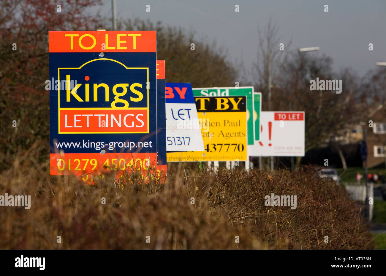 A row of To Let signs outside a block of flats in Harlow, Essex, UK Stock Photo