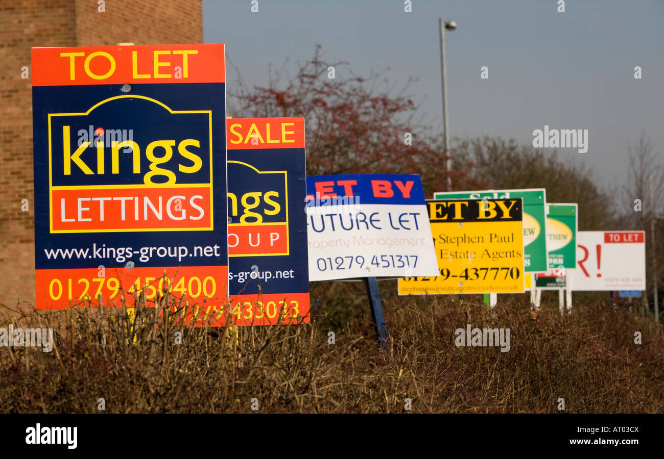 A row of To Let signs outside a block of flats in Harlow, Essex, UK Stock Photo