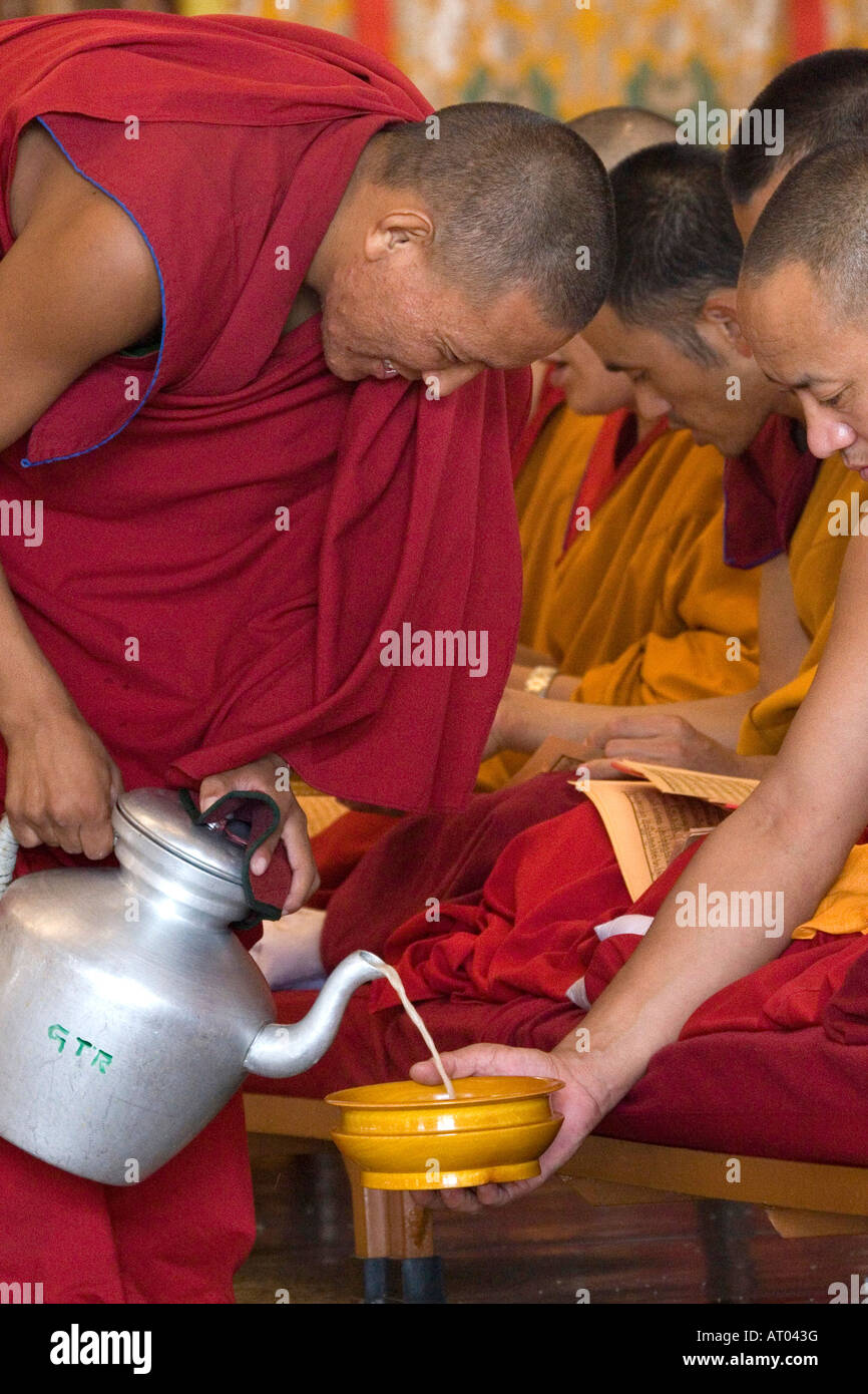 Tibetan buddhist monk serving butter tea Stock Photo Alamy