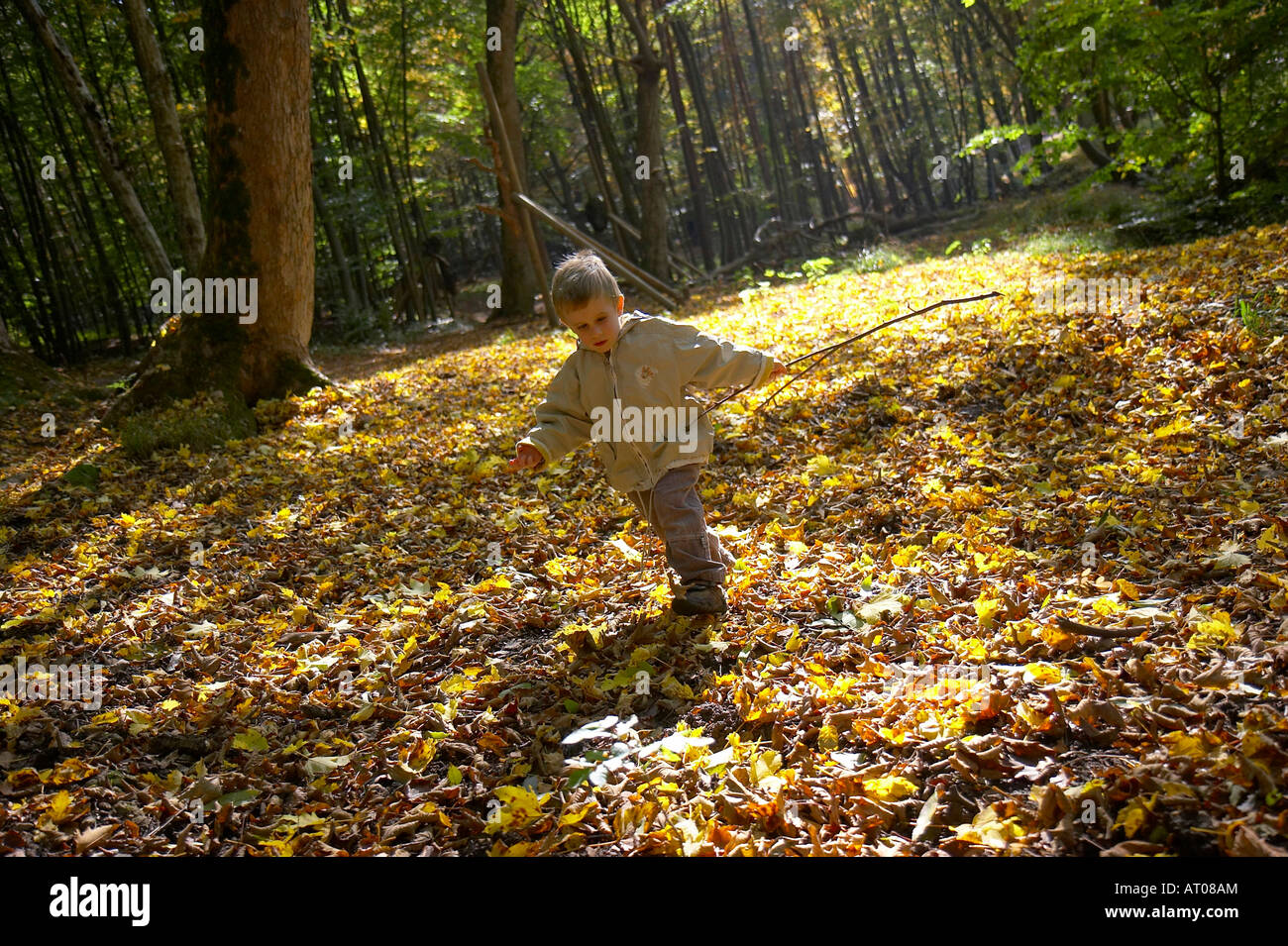 little boy running through the forest Stock Photo