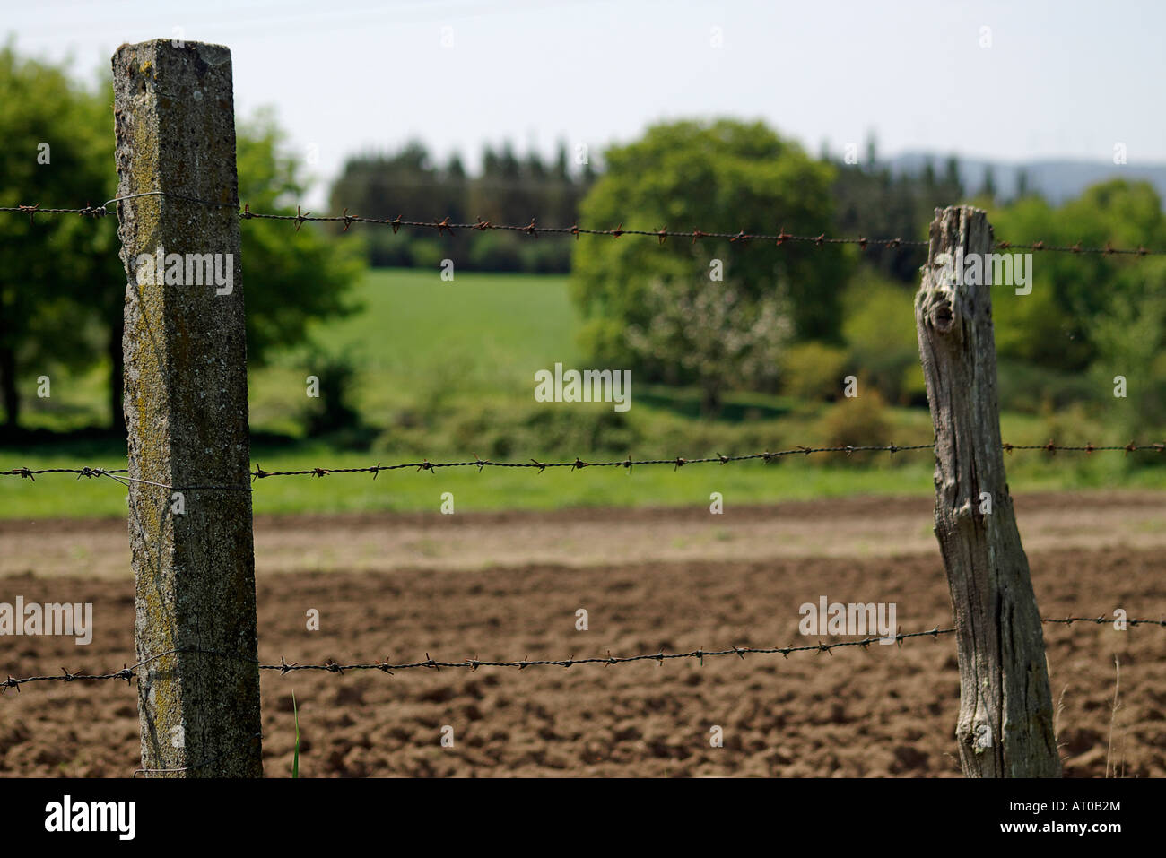 wooden stake of a wire fence Stock Photo