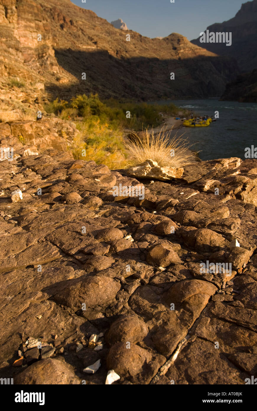 Bubbling rock formations at 110 mile camp on the Colorado River in the ...