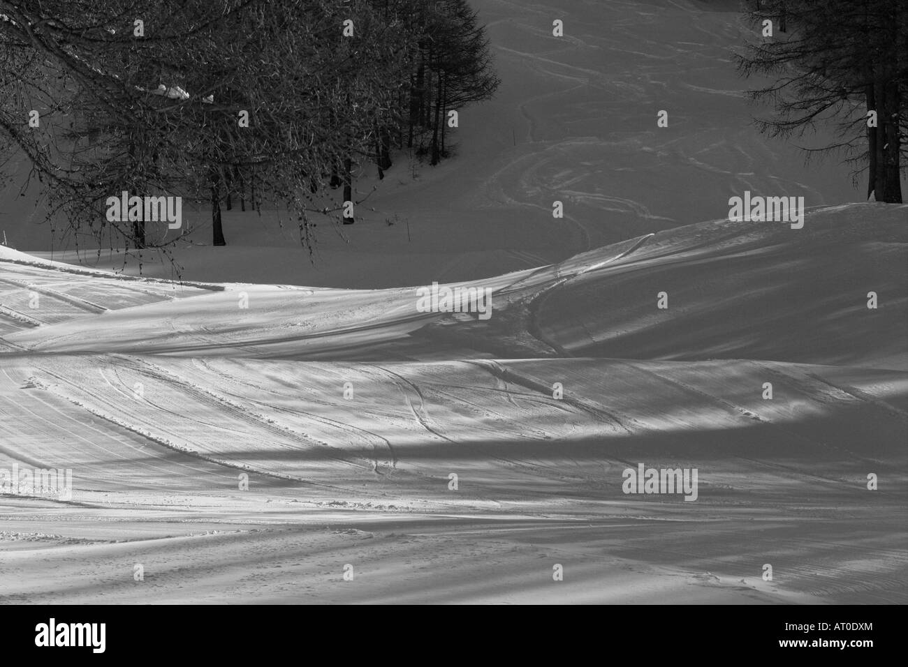 Ski track. Bardonecchia Stock Photo