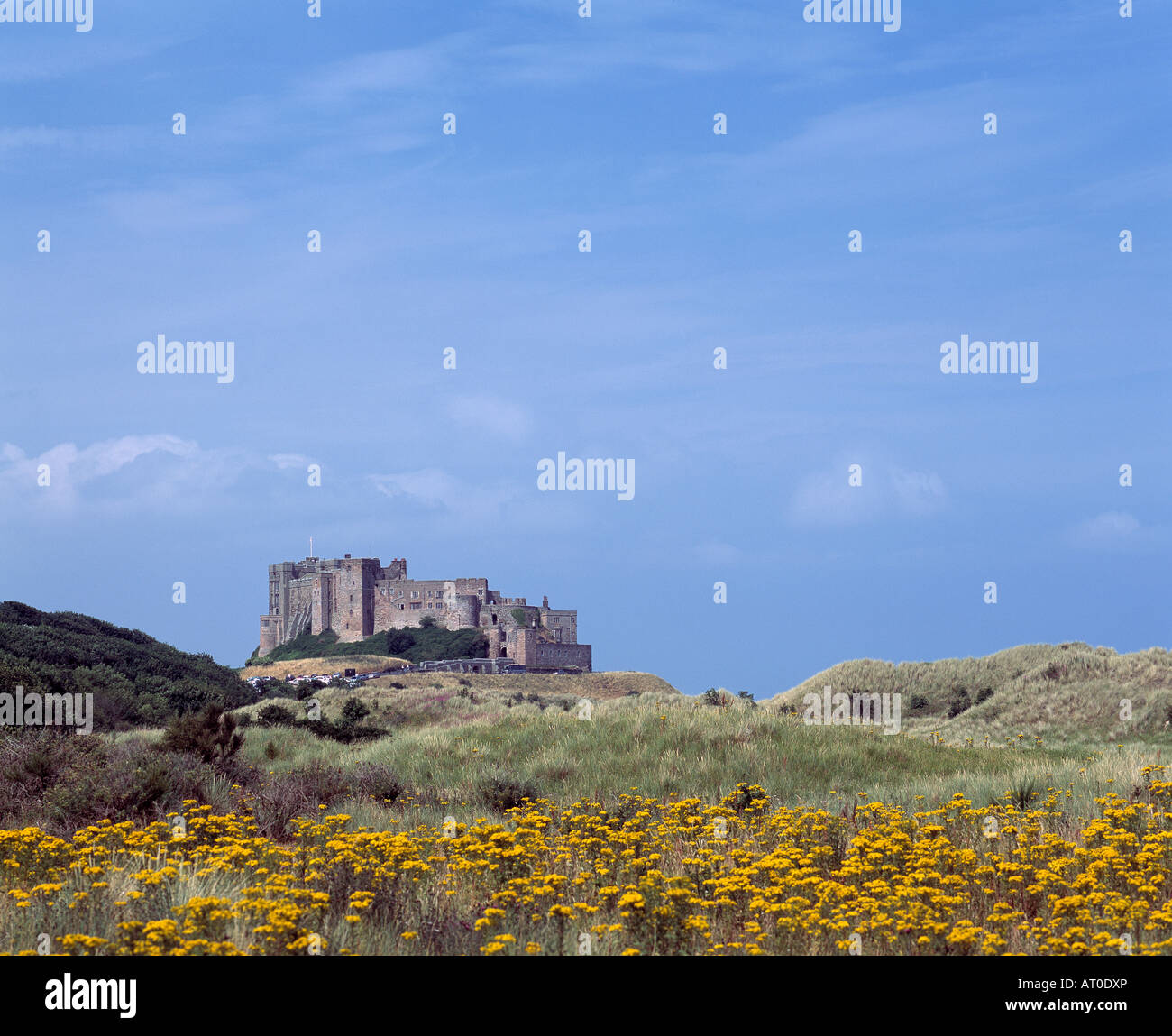 British dominating south hi-res stock photography and images - Alamy