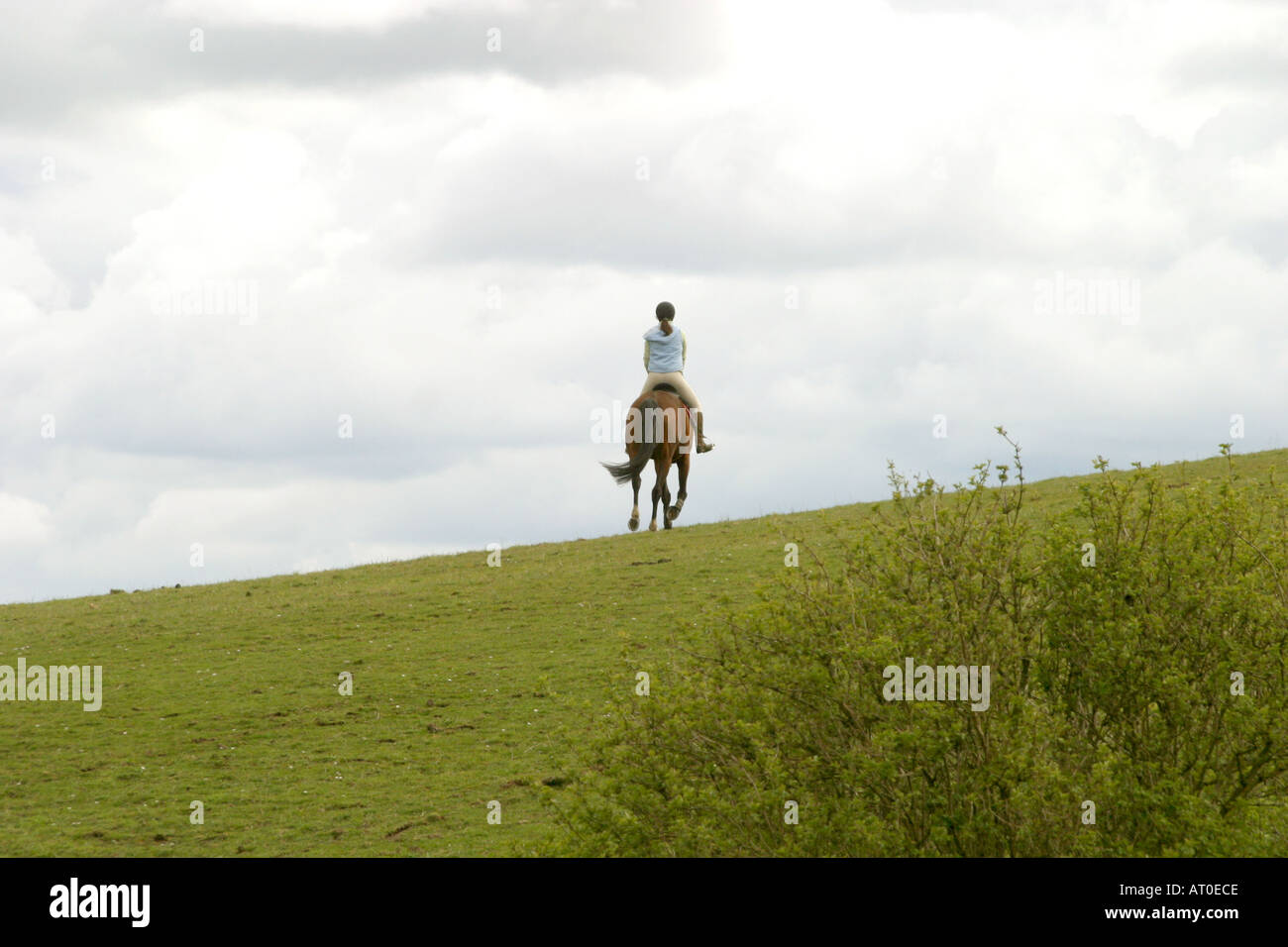 Horse rider galloping into the distance Stock Photo