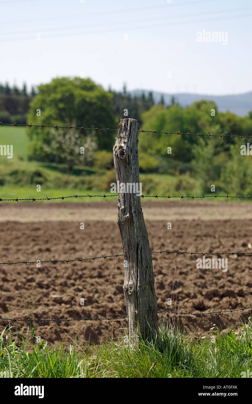 detail of the wooden stake of a wire fence Stock Photo