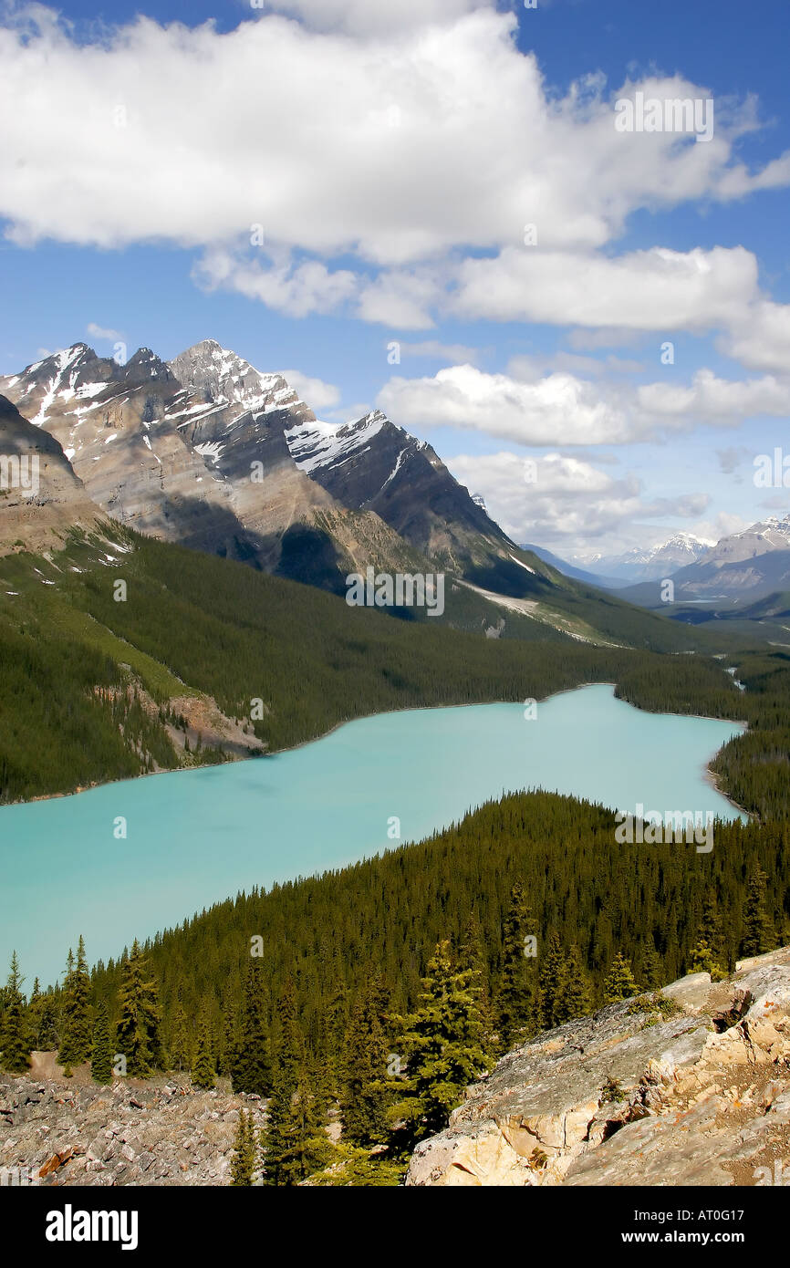 Peyto Lake Banff National Park Alberta Stock Photo - Alamy