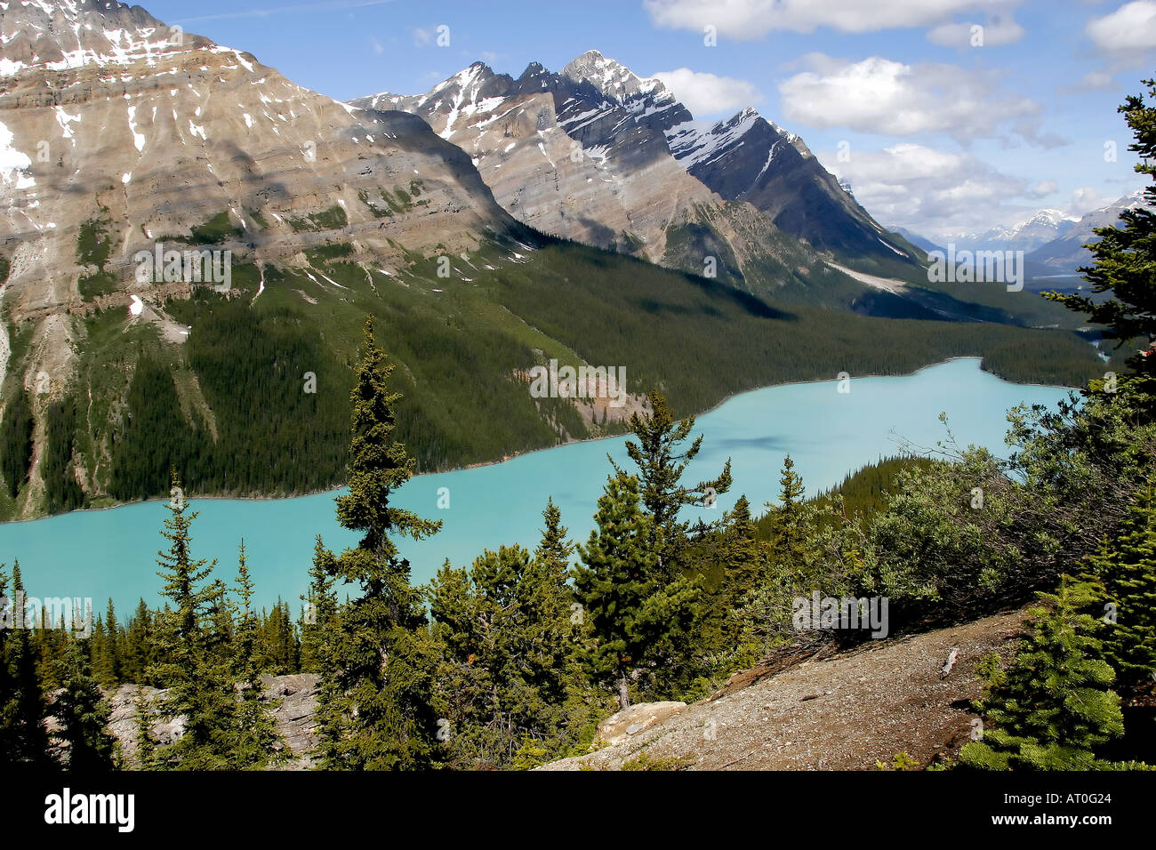 Peyto Lake Banff National Park Alberta Stock Photo - Alamy