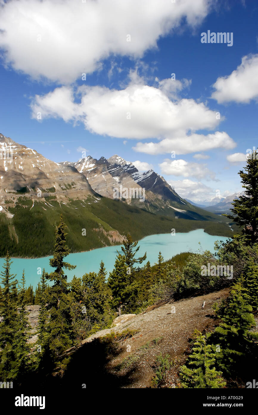 Peyto Lake Banff National Park Alberta Stock Photo - Alamy