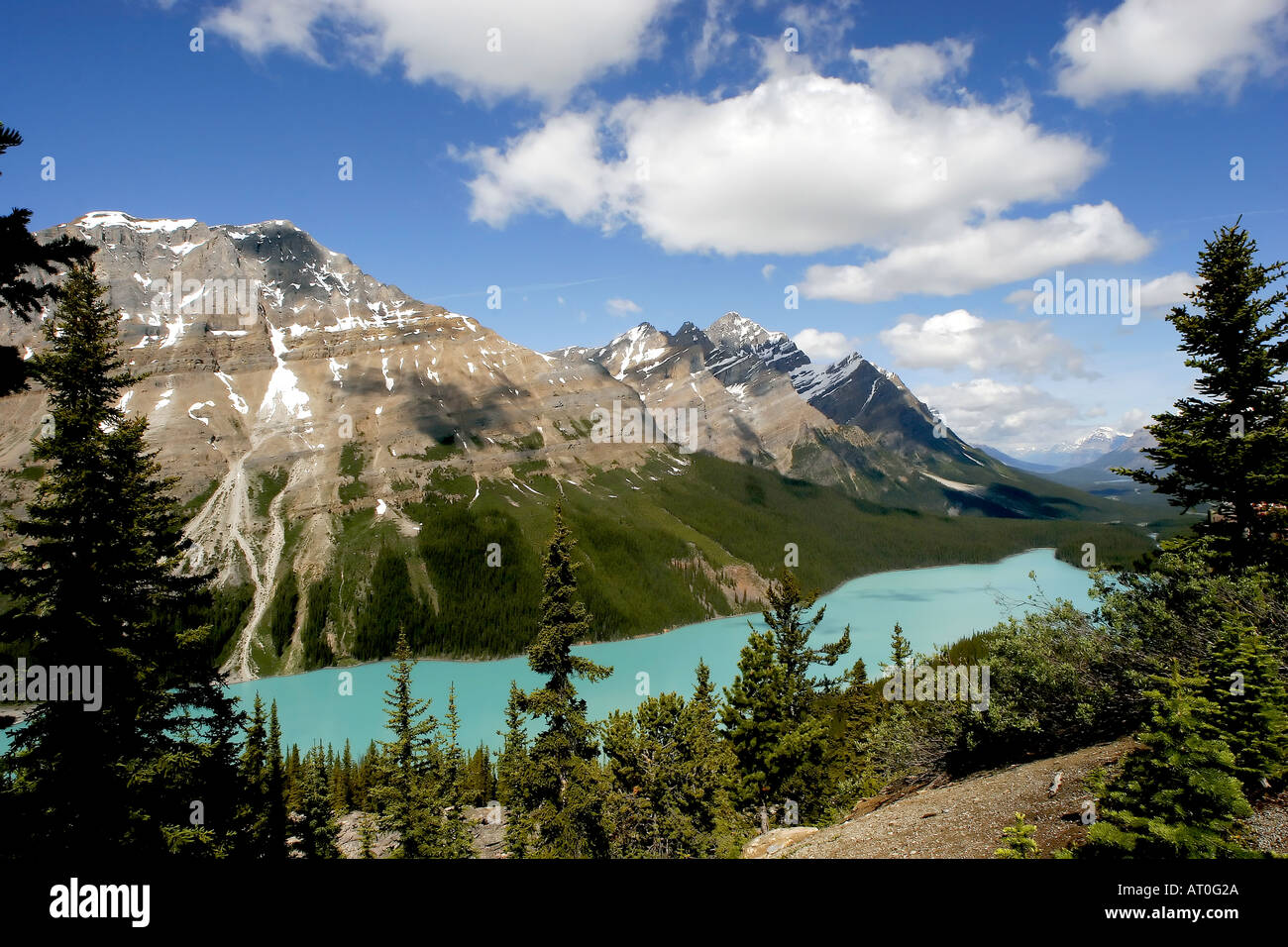 Peyto Lake Banff National Park Alberta Stock Photo - Alamy