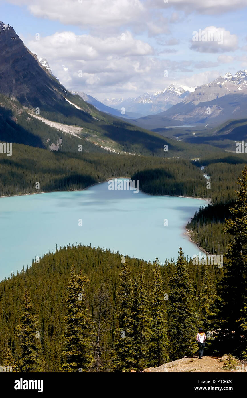 Peyto Lake Banff National Park Alberta Stock Photo - Alamy