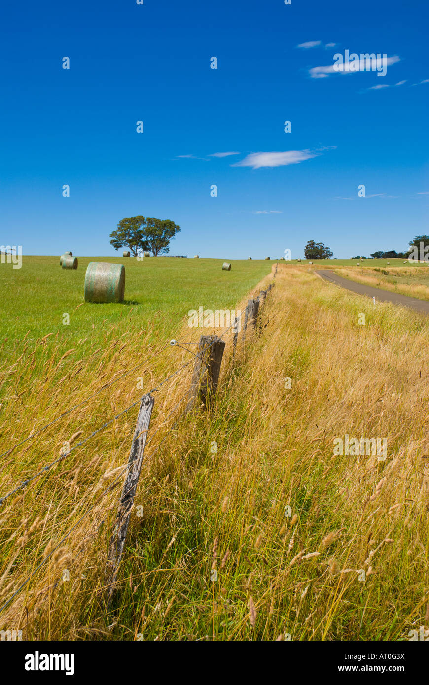 Rural scene Stock Photo