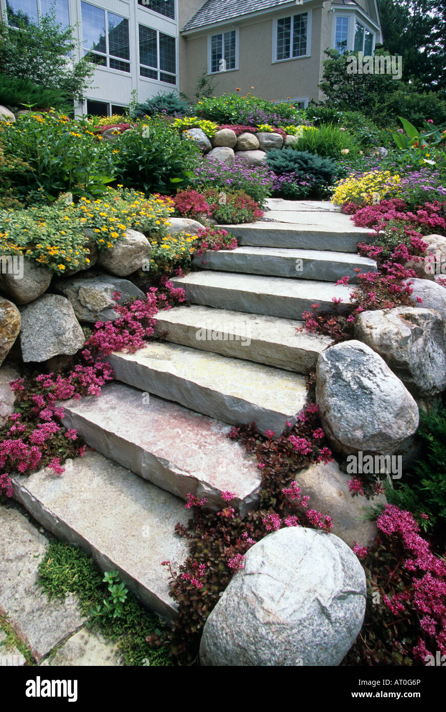 STEPS IN TIERED MINNESOTA GARDEN ARE BORDERED WITH FULDA GLOW SEDUM AND BOULDERS. JULY. Stock Photo