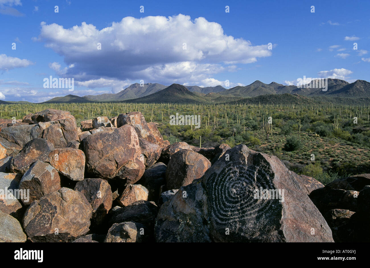 Ancient prehistoric Indian petroglyphs rock carvings in the sonoran desert in Saguaro National Park in Tucson Arizona Stock Photo
