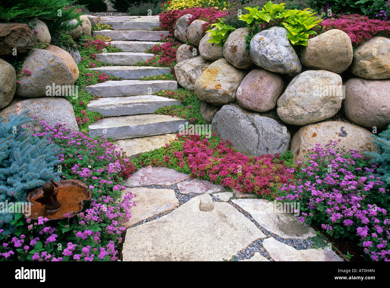 Steps And Flagstone Path In Tiered Minnesota Garden Leilani Ageratum And Dragon S Blood Sedum July Stock Photo Alamy Steps And Flagstone Path In Tiered Minnesota Garden Leilani Ageratum And Dragon S Blood Sedum July Stock Photo Alamy