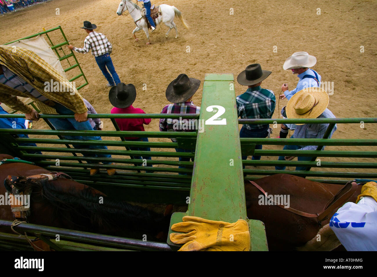 Judges watch the action at the Jordan Valley Rodeo Stock Photo Alamy