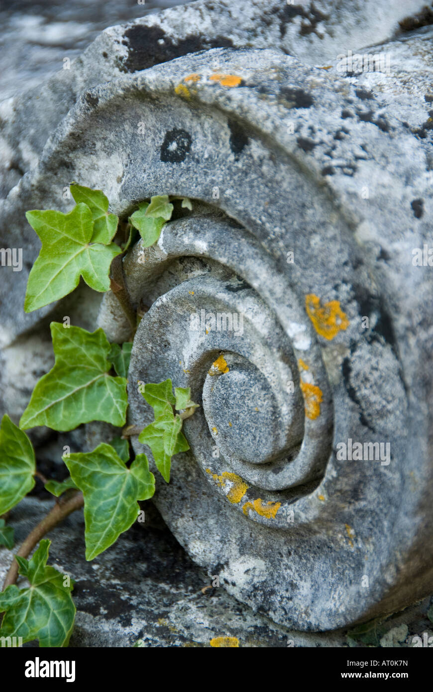 Detail of ornate moss-covered tombstone and ivy Stock Photo