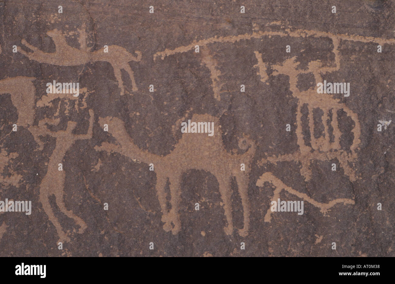 Petroglyphs at Wadi Rum Desert Jordan Stock Photo