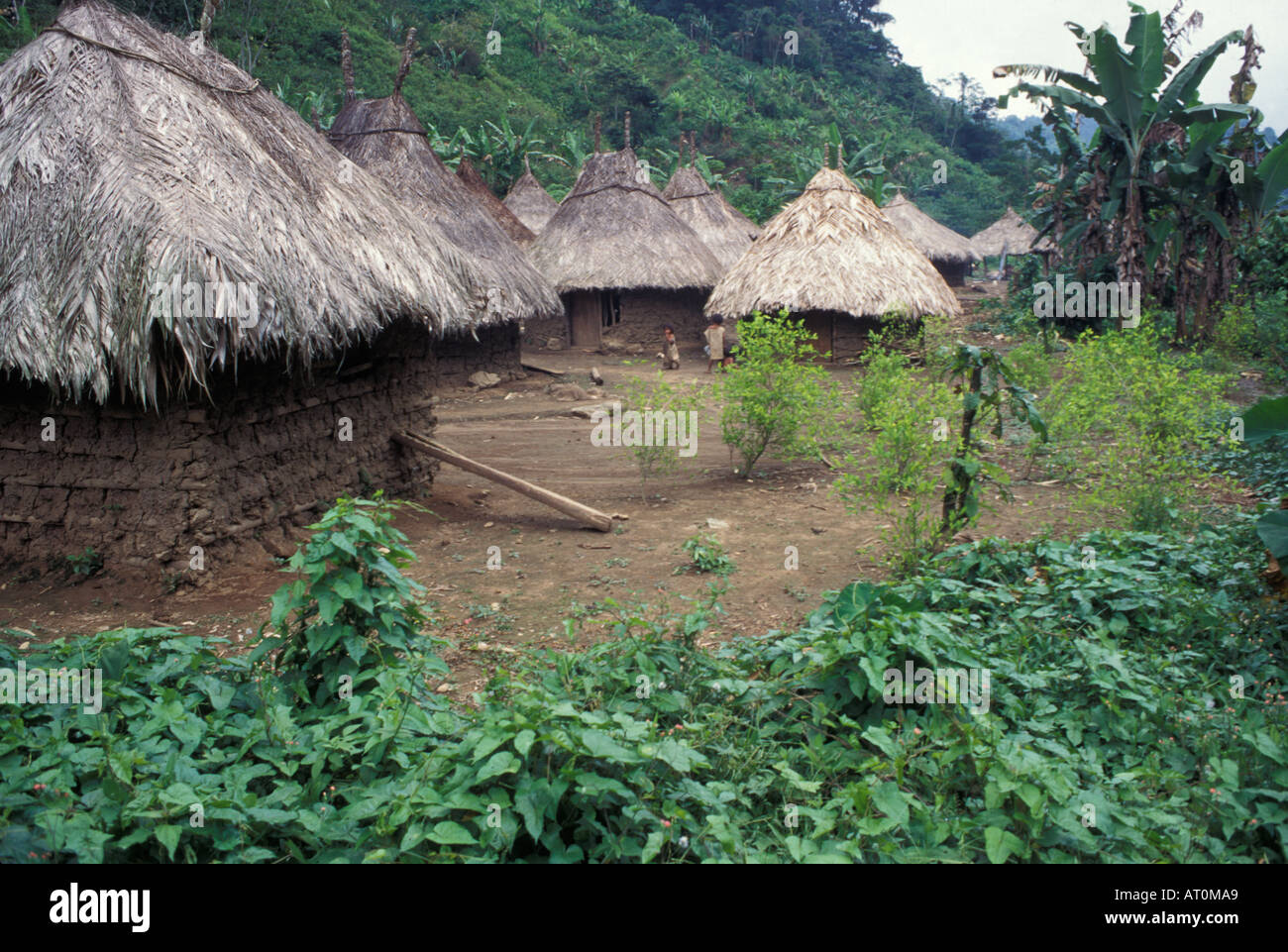 native South American homes in the Columbian jungle Columbia South