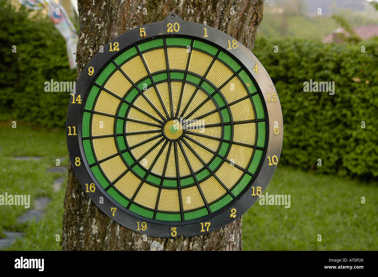 disc target pinned on a tree Stock Photo Alamy