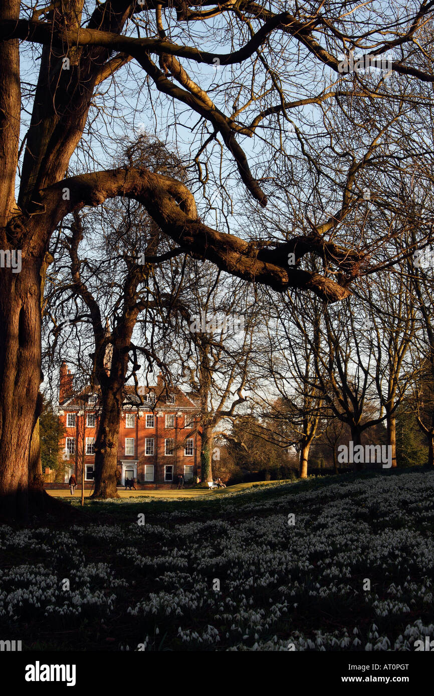 [Welford Park] Estate and [Country House], snowdrops growing under