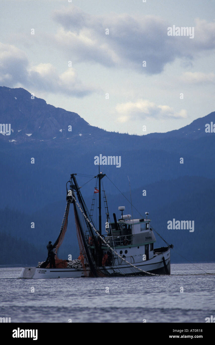 commercial sien fishing for pink salmon Oncorhynchus gorbuscha in southeast Alaska Stock Photo