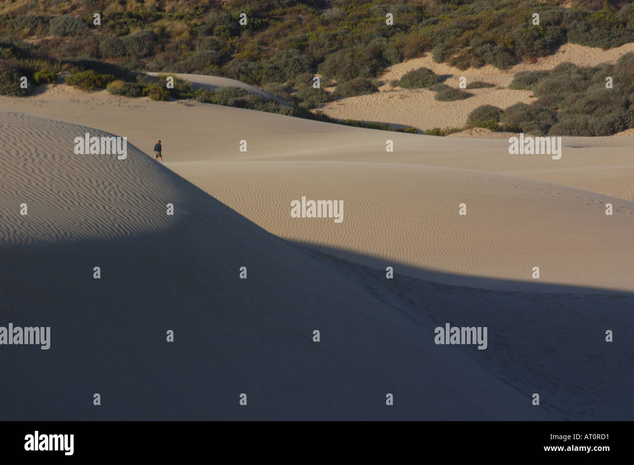Oceano Sand Dunes Stock Photo Alamy