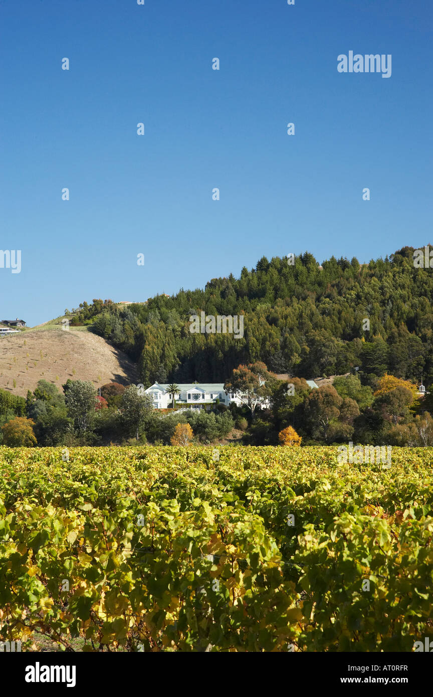 Mission estate winery, new zealand hires stock photography and images Alamy Mission estate winery, new zealand hires stock photography and images Alamy