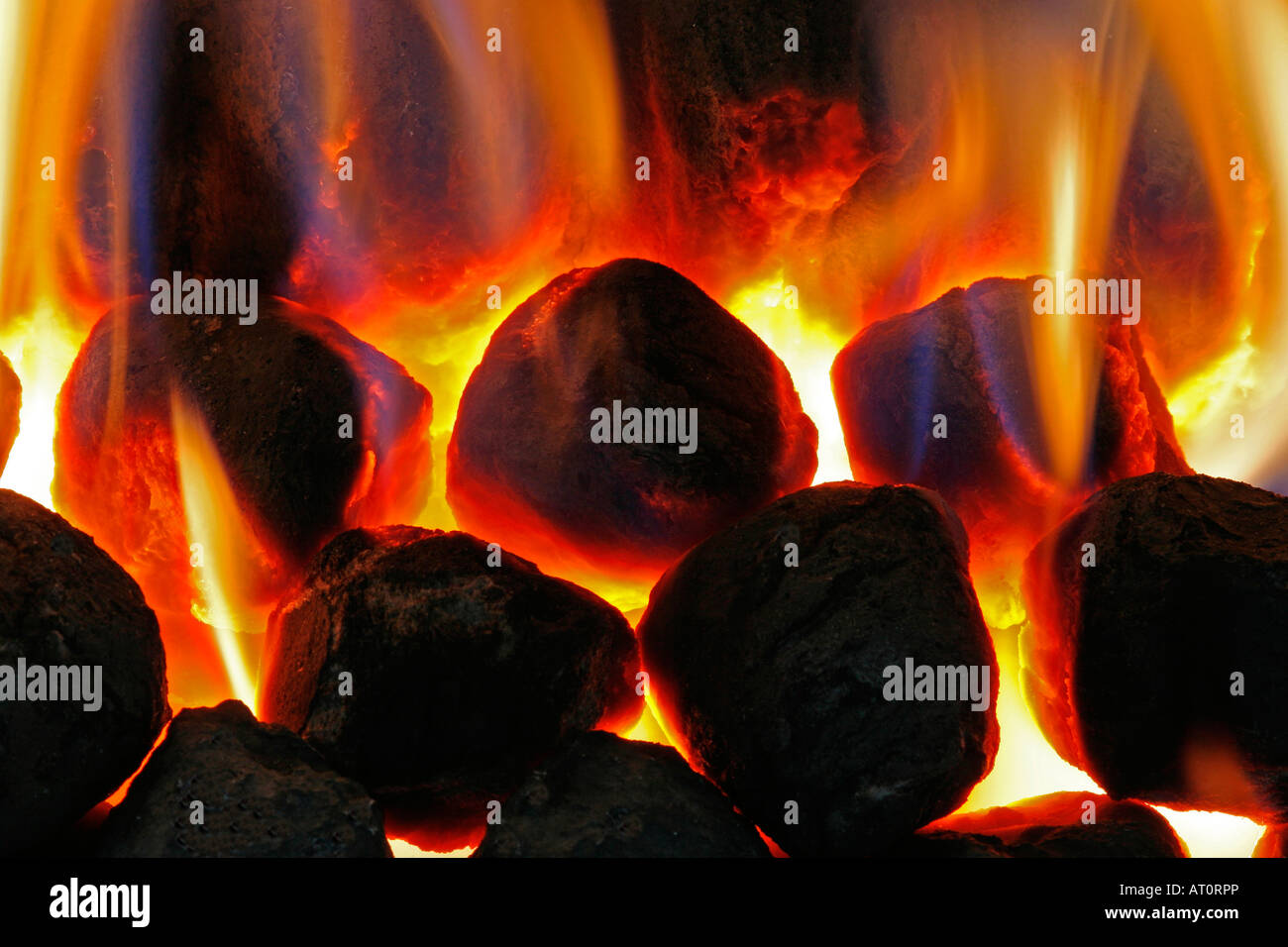 Flames on coal effect gas fire Stock Photo Alamy