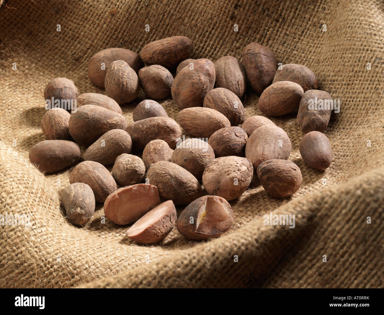 Shea Nut Stock Photos & Shea Nut Stock Images Alamy