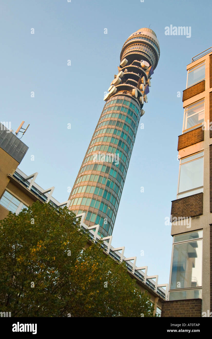 Angular vertical wide angle of the BT Tower and surrounding office buildings on a bright sunny evening. Stock Photo