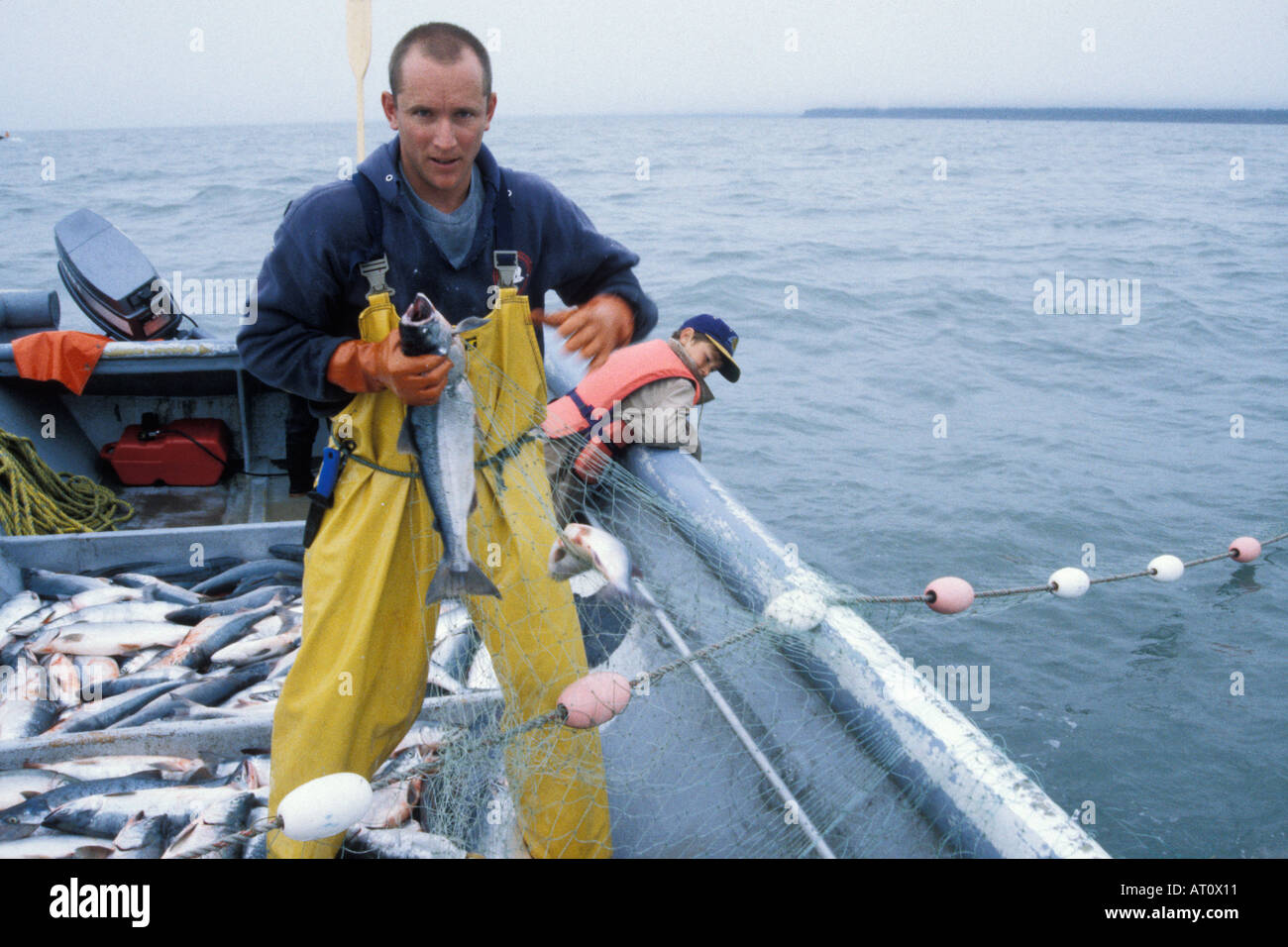 Karl Kircher commercial set net fisherman pulls a Kenai sockeye salmon Oncorhynchus nerka out of a net Cook Inlet Alaska Stock Photo