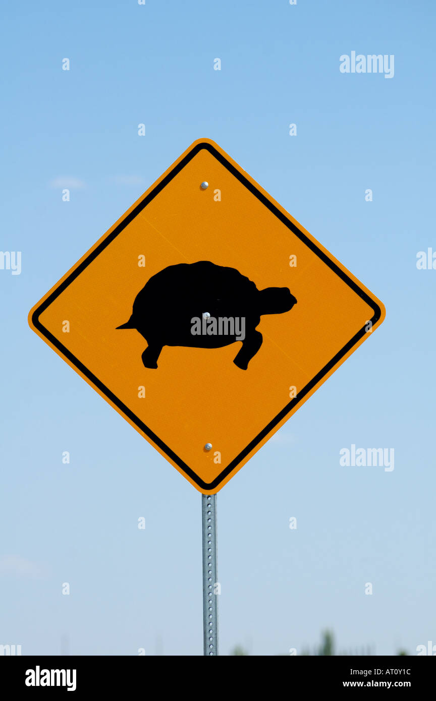 Turtle crossing road sign, California, USA Stock Photo - Alamy
