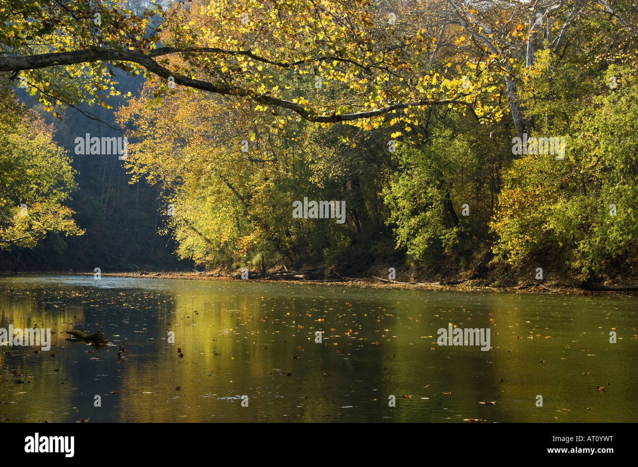 Autumn Color on Green River Mammoth Cave National Park Kentucky Stock Photo