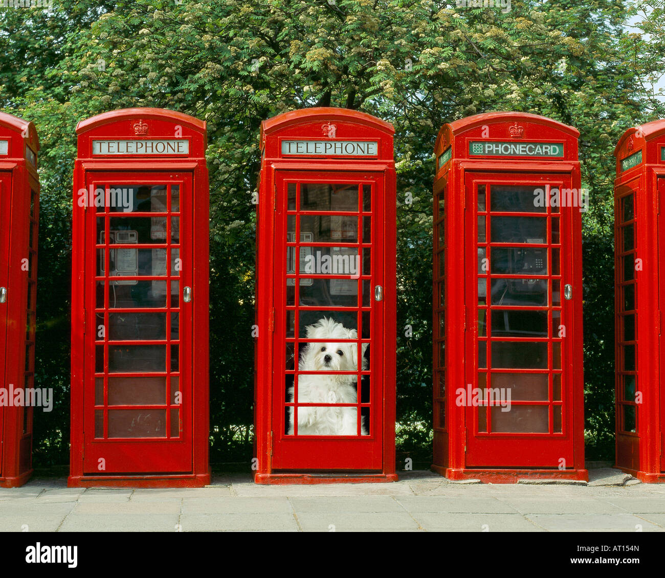 British phone booth hi-res stock photography and images - Alamy