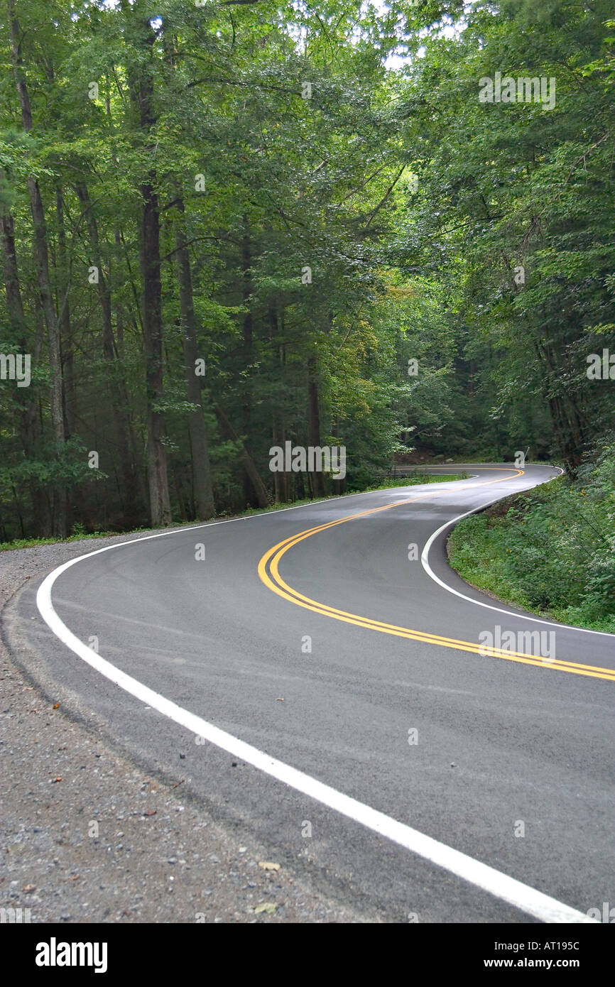 Dragon Tail Rd Tail of the dragon road hi-res stock photography and images - Alamy