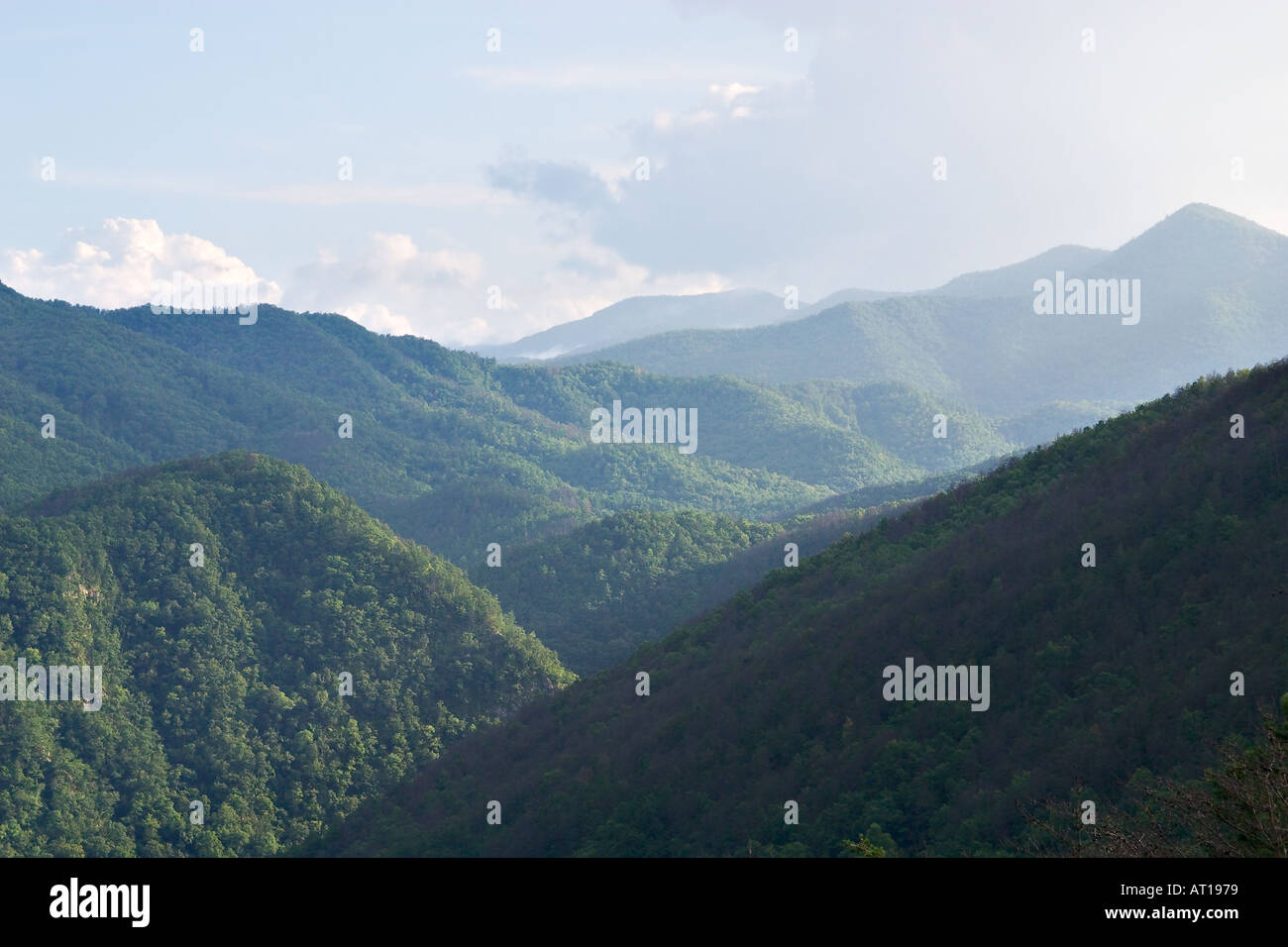 Calderwood hi-res stock photography and images - Page 2 - Alamy